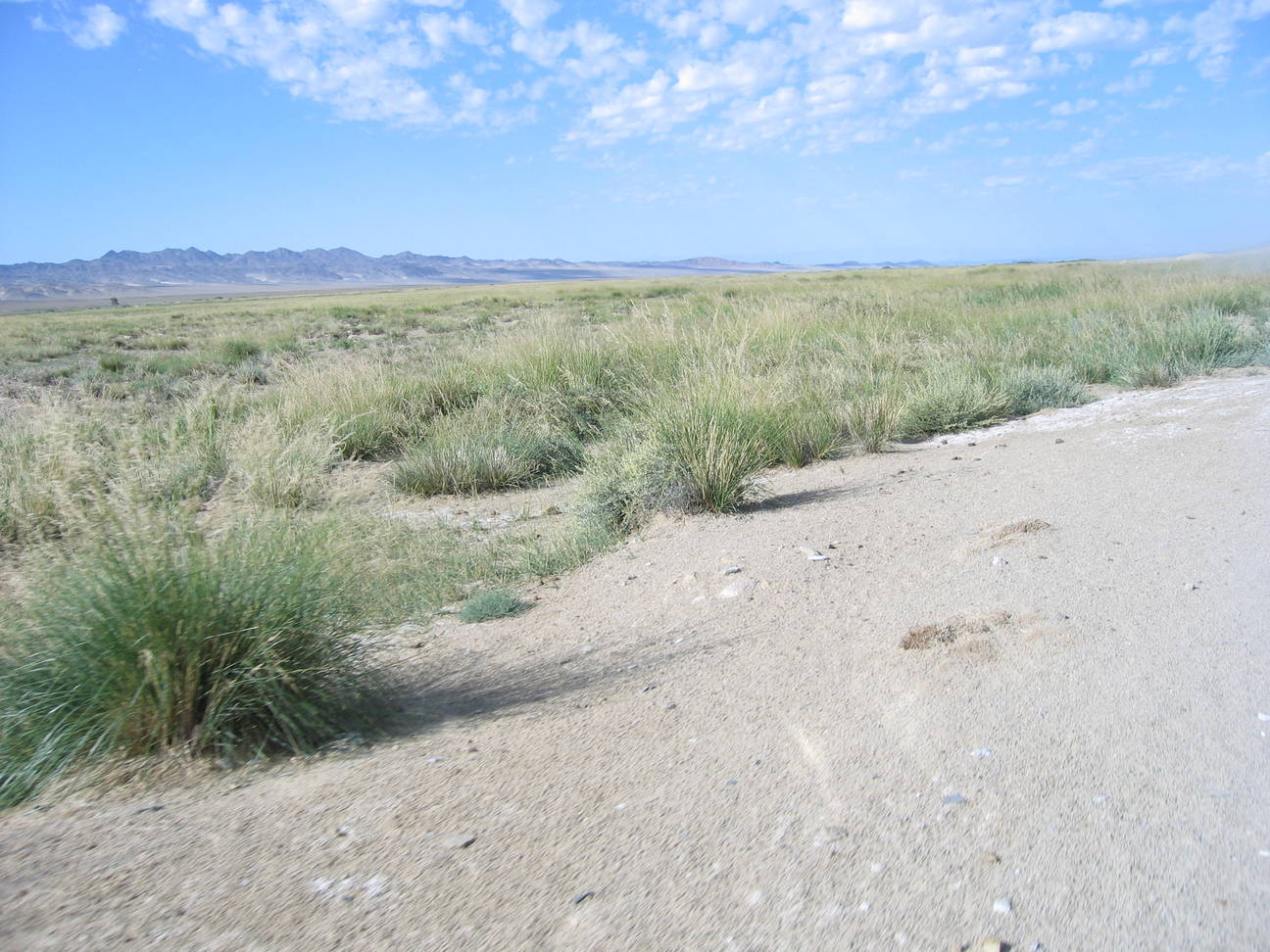 Fahrt nach Khovd 5