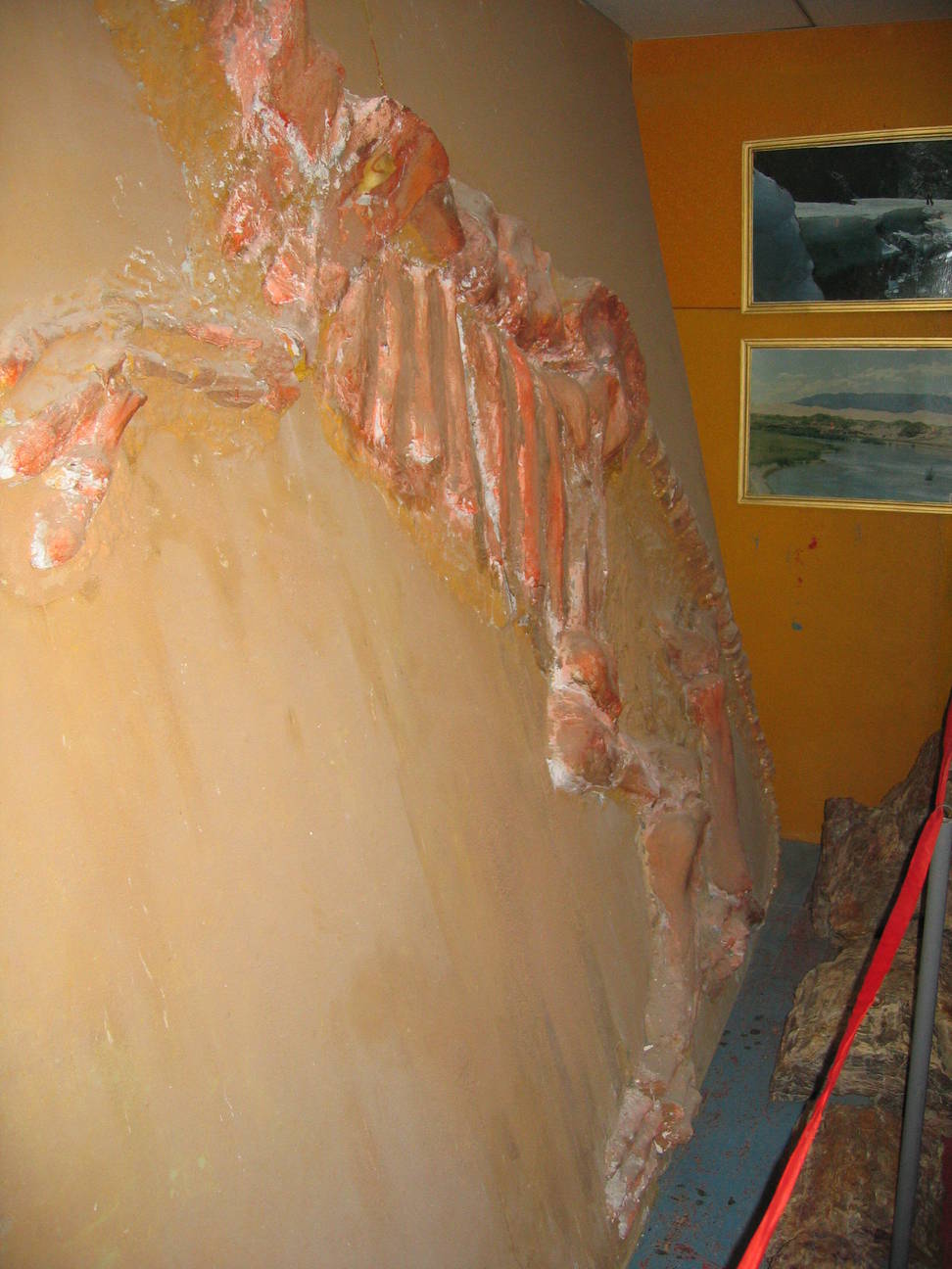 Saurier Museum 4