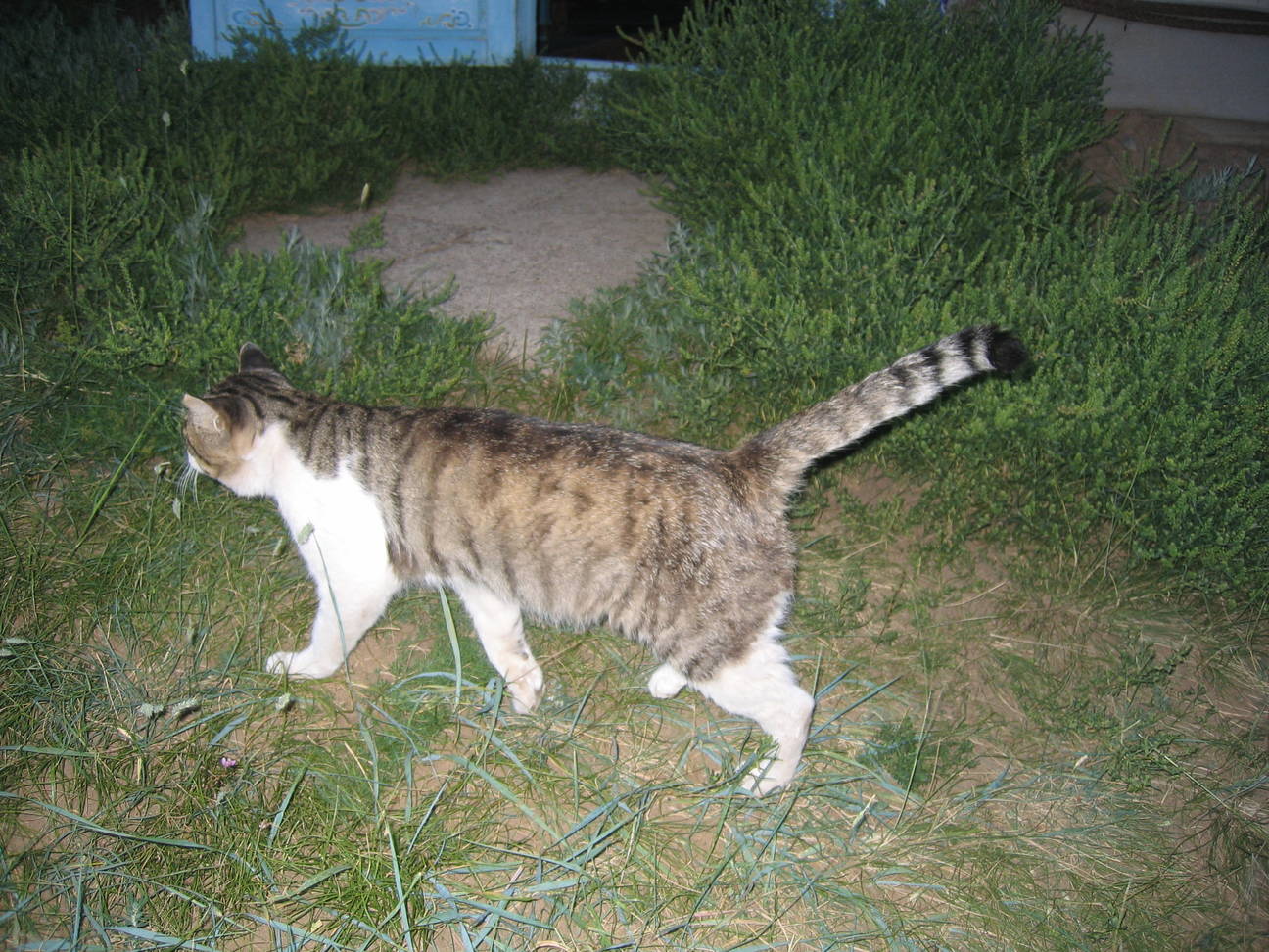 Camp Kubilai Khan 15