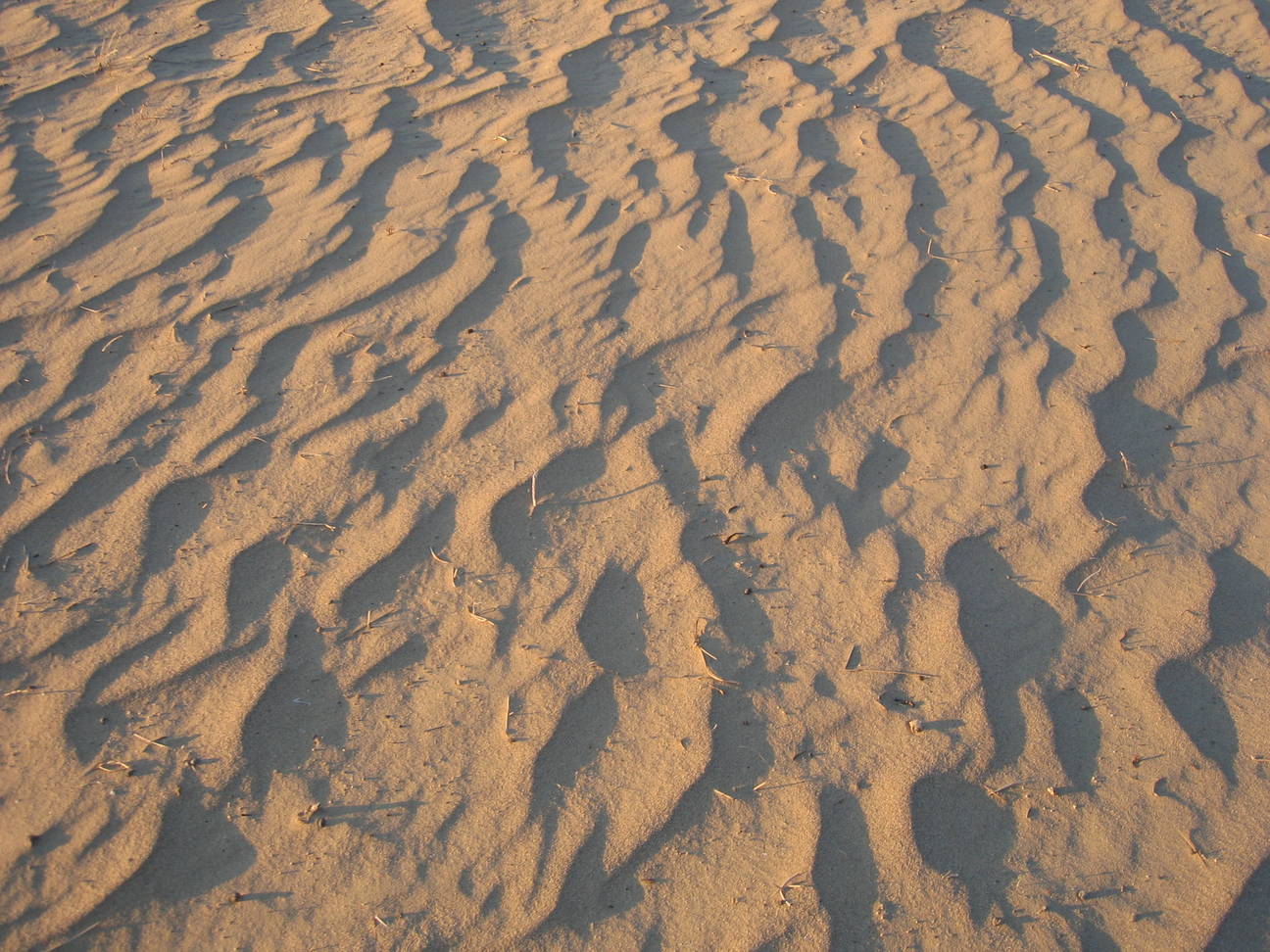 Spaziergang Sandd&uuml;ne 15