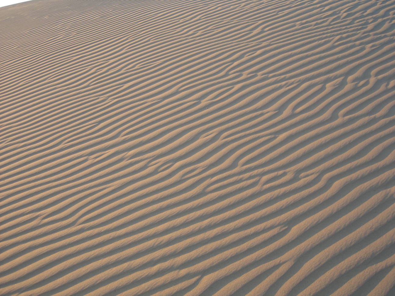 Spaziergang Sandd&uuml;ne 18