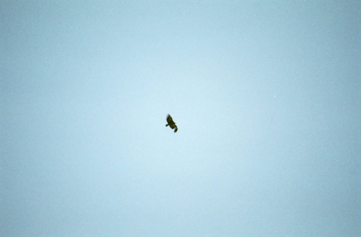 Fahrt zum Pferdez&uuml;chter 2